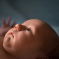 20131112-DSC06959